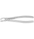 Cleste stomatologic BUCHS, extractie molar de minte inferior