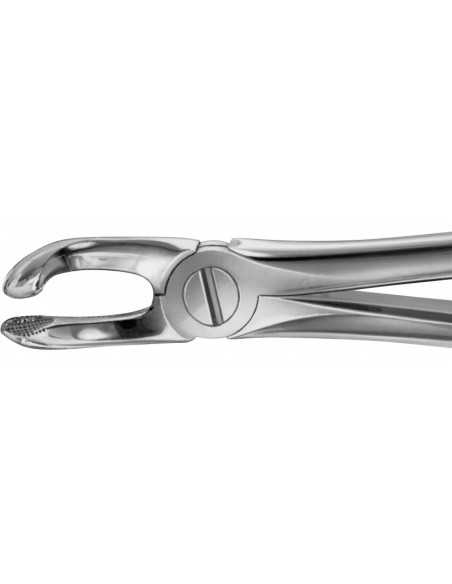 Pensa stomatologica BUCHS, pentru molar de minte, inferior