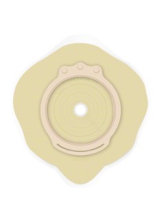 Flansa plata pentru sistem...