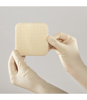 Pansament siliconic absorbant Askina Dressil 10 x 10 cm