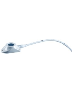 Celsite ST301F
